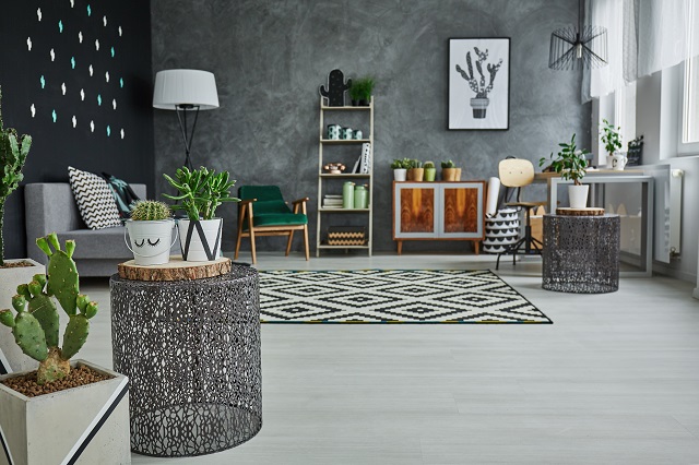 Flat with decorative metal accessories, cactus and floor panels
